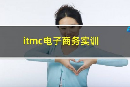 itmc电子商务实训